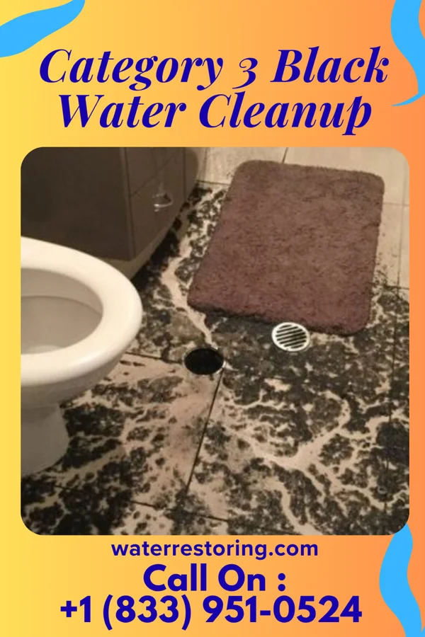 Category 3 Black Water Cleanup in Carlton, KS
